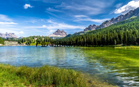 产业兴旺还带来了人才的回归