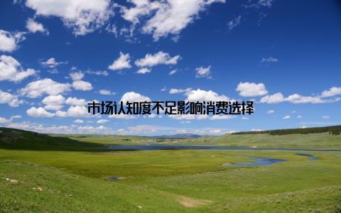 市场认知度不足影响消费选择