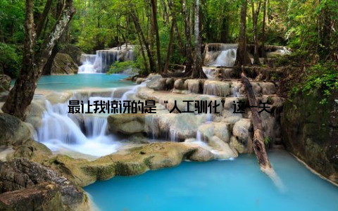 最让我惊讶的是“人工驯化”这一关