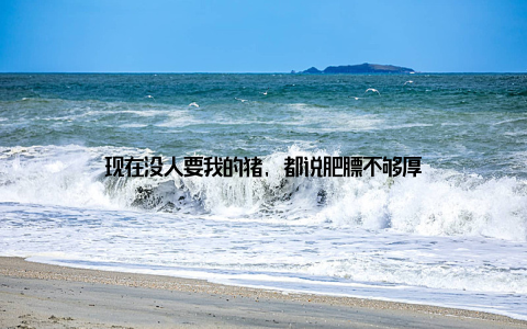 现在没人要我的猪, 都说肥膘不够厚