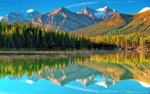 适合地区北方干旱、半干旱地区