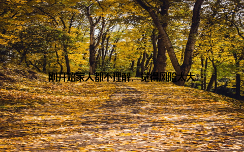 刚开始家人都不理解, 觉得风险太大