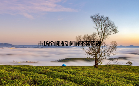 市场价格波动同样不容忽视